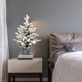 2FT Flocked White Christmas Tree with Pot Base | 30 Warm White LEDs | 189 PE+PVC Tips | Pine Cones | Small Tabletop Holiday Decor for Entryway, Home
