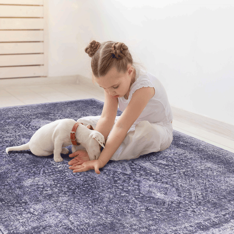 MAVAL Anthracite Washable Area Rug 4x6 | Soft Chenille Polyester, Low Pile, Non-Slip Backing | Easy Clean Living Room, Bedroom, Hallway Rugs | Durable, Stain-Resistant, Pet & Family Friendly