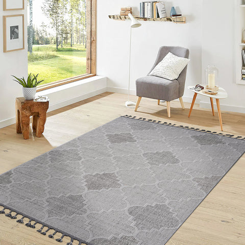 Guros Collection 6x9 Indoor/Outdoor Area Rug - Stain Resistant, Non-Shedding Polypropylene, Medium Pile, White & Grey Trellis Design for Living Room, Patio, Entryway