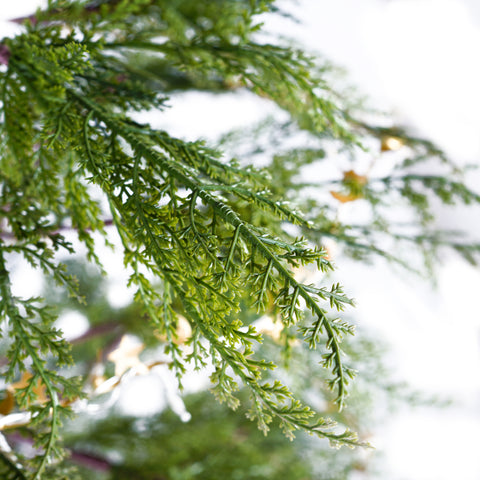 6 Ft Artificial Christmas Tree with LED Star & Moon Lights, 612 Realistic PE Tips, Hinged Green Pine, Sturdy Metal Stand for Indoor Holiday Decor