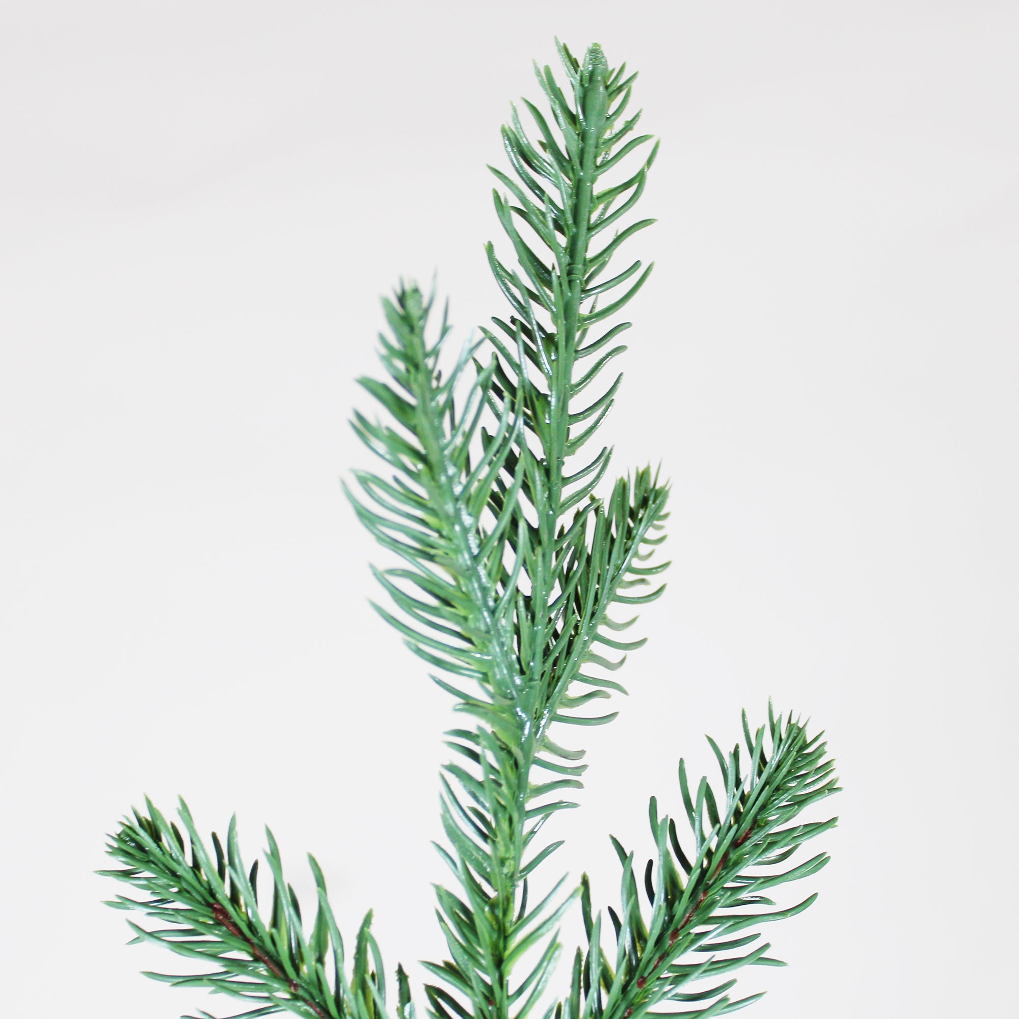 Winga 7FT Green Curved Christmas Tree - Realistic 84-Inch PE & PVC with Dense, Fluffy Branches. Easy Assembly, Stable Metal Base. Perfect for Holiday & Halloween Decor, Indoor/Outdoor Use.