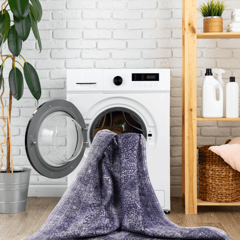 MAVAL Anthracite Washable Area Rug 4x6 | Soft Chenille Polyester, Low Pile, Non-Slip Backing | Easy Clean Living Room, Bedroom, Hallway Rugs | Durable, Stain-Resistant, Pet & Family Friendly